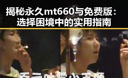 揭秘永久mt660与免费版:选择困境中的实用指南