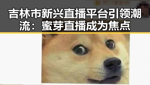 吉林市新兴直播平台引领潮流：蜜芽直播成为焦点