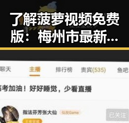 了解菠萝视频免费版：梅州市最新在线观看体验
