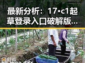 最新分析：17·c1起草登录入口破解版现状与影响