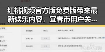 红桃视频官方版免费版带来最新娱乐内容，宜春市用户关注度提升