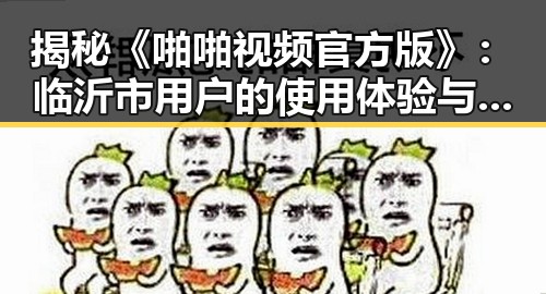 揭秘《啪啪视频官方版》：临沂市用户的使用体验与关注点