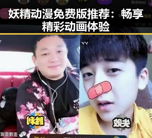 妖精动漫免费版推荐：畅享精彩动画体验