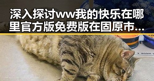 深入探讨ww我的快乐在哪里官方版免费版在固原市的现状与发展