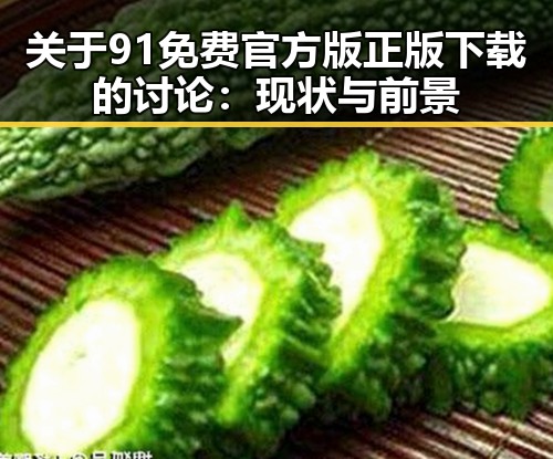 关于91免费官方版正版下载的讨论：现状与前景