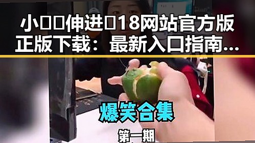 小🐔🐔伸进🈲18网站官方版正版下载：最新入口指南与现状解析