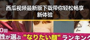 西瓜视频最新版下载带你轻松畅享新体验