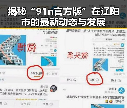 揭秘“91n官方版”在辽阳市的最新动态与发展