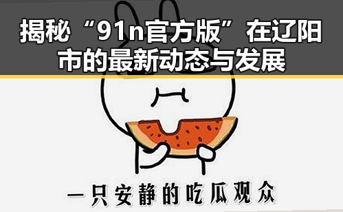 揭秘“91n官方版”在辽阳市的最新动态与发展