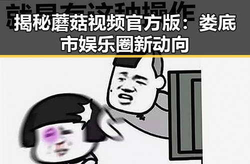 揭秘蘑菇视频官方版：娄底市娱乐圈新动向
