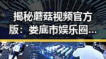 揭秘蘑菇视频官方版：娄底市娱乐圈新动向