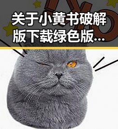 关于小黄书破解版下载绿色版的全面解读与最新动态