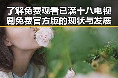 了解免费观看已满十八电视剧免费官方版的现状与发展