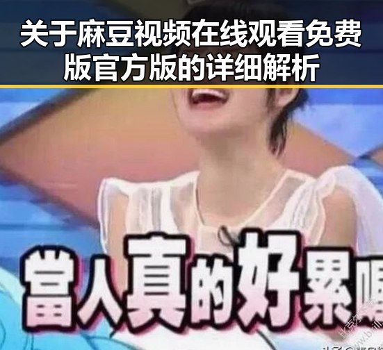 关于麻豆视频在线观看免费版官方版的详细解析