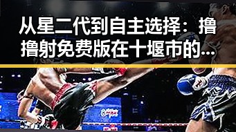 从星二代到自主选择：撸撸射免费版在十堰市的最新发展