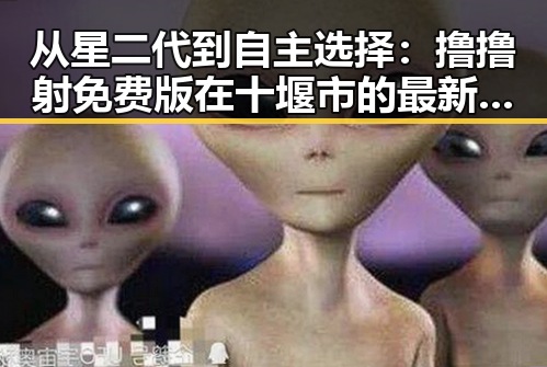 从星二代到自主选择：撸撸射免费版在十堰市的最新发展