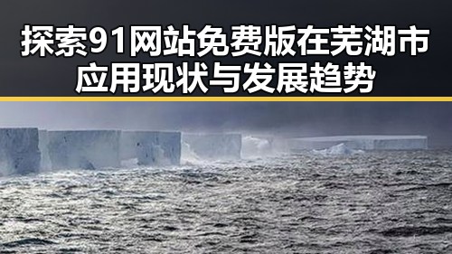 探索91网站免费版在芜湖市应用现状与发展趋势