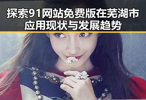 探索91网站免费版在芜湖市应用现状与发展趋势