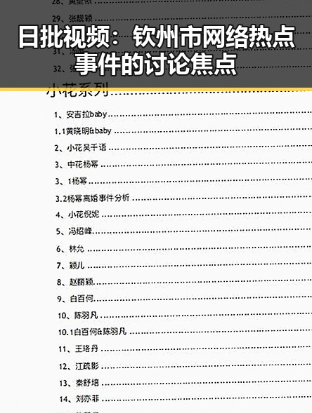 日批视频：钦州市网络热点事件的讨论焦点