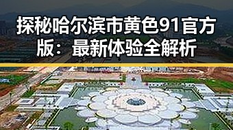 探秘哈尔滨市黄色91官方版：最新体验全解析