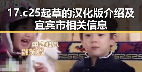 17.c25起草的汉化版介绍及宜宾市相关信息