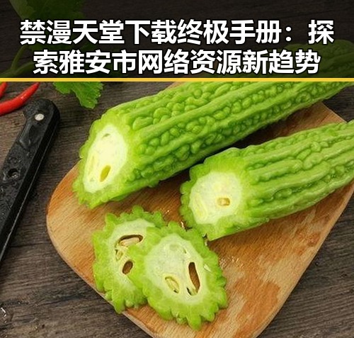 禁漫天堂下载终极手册：探索雅安市网络资源新趋势