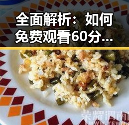 全面解析：如何免费观看60分钟电视剧中国版免费版？