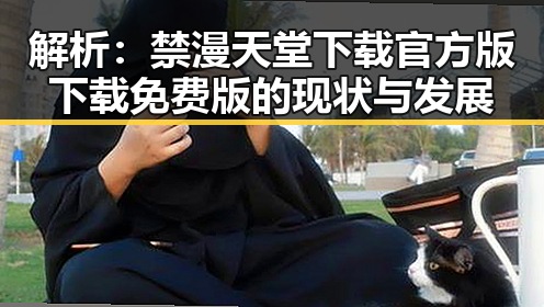 解析：禁漫天堂下载官方版下载免费版的现状与发展