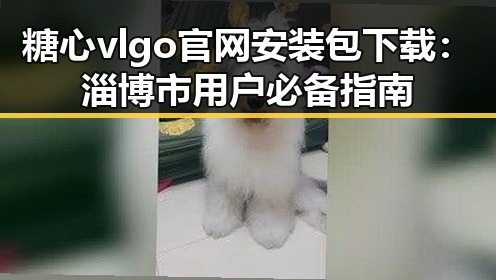 糖心vlgo官网安装包下载：淄博市用户必备指南