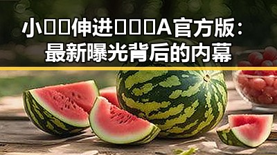 小🐔🐔伸进🈲🔞🔞A官方版：最新曝光背后的内幕