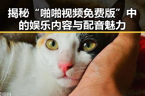 揭秘“啪啪视频免费版”中的娱乐内容与配音魅力