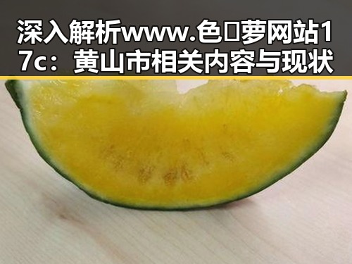 深入解析www.色😍萝网站17c：黄山市相关内容与现状