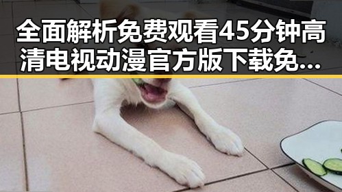 全面解析 免费观看45分钟高清电视动漫官方版下载免费版的最新玩法