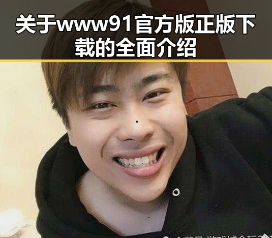 关于www91官方版正版下载的全面介绍