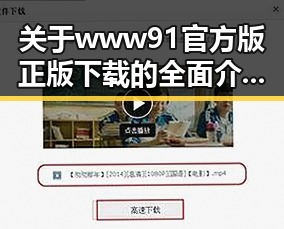 关于www91官方版正版下载的全面介绍