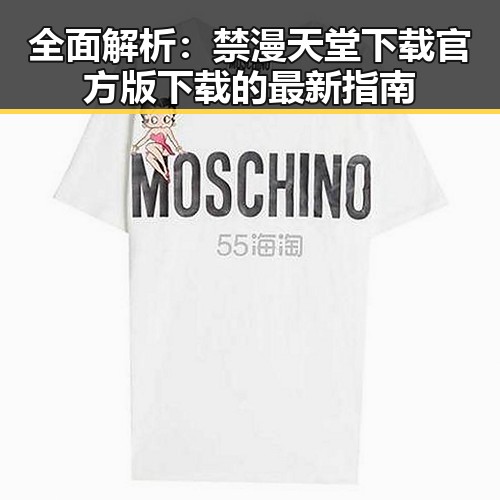 全面解析：禁漫天堂下载官方版下载的最新指南