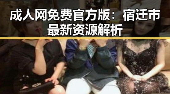 成人网免费官方版：宿迁市最新资源解析