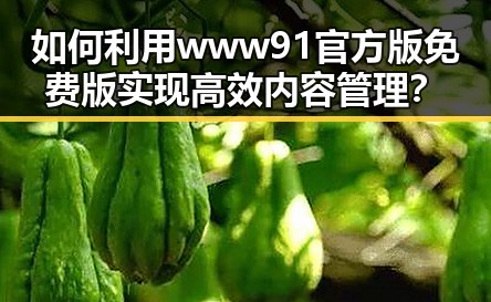 如何利用www91官方版免费版实现高效内容管理?