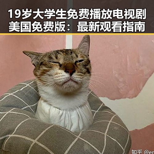 19岁大学生免费播放电视剧美国免费版：最新观看指南