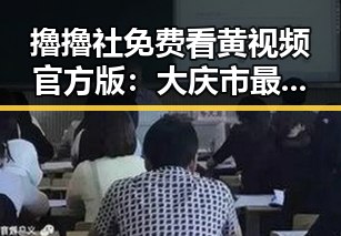 擼擼社免费看黄 视频官方版：大庆市最新在线观看指南