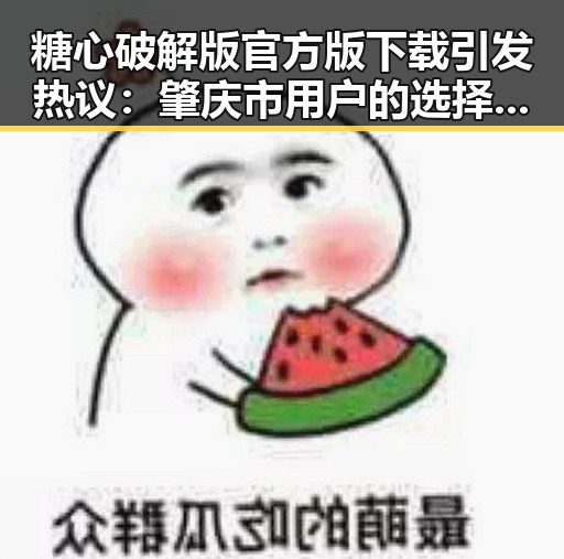 糖心破解版官方版下载引发热议：肇庆市用户的选择与体验