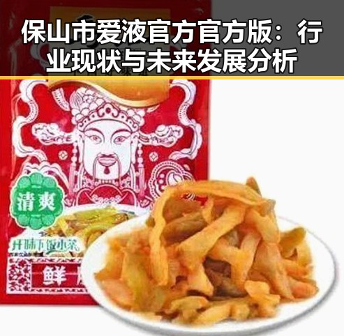 保山市爱液官方官方版：行业现状与未来发展分析