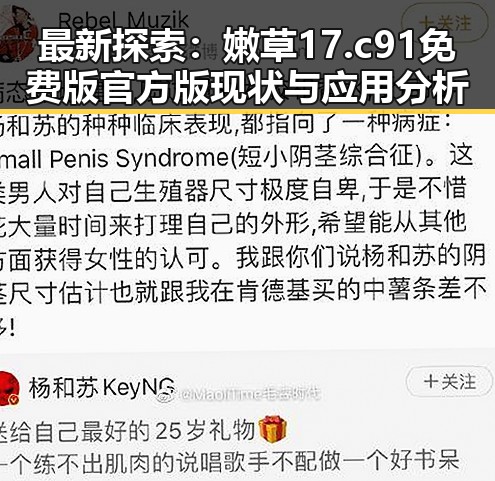 最新探索：嫩草17.c 91免费版官方版现状与应用分析