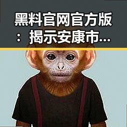 黑料 官网官方版：揭示安康市娱乐圈背后的真实故事