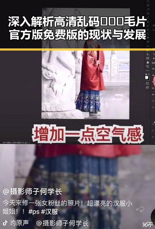 深入解析高清乱码🔞❌♋毛片官方版免费版的现状与发展