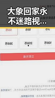 大象回家永不迷路视频2023最新版：带你走进真实的动物归途