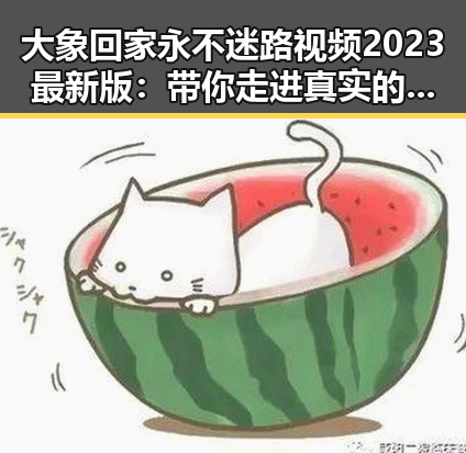 大象回家永不迷路视频2023最新版：带你走进真实的动物归途
