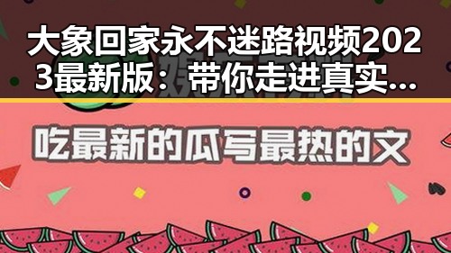 大象回家永不迷路视频2023最新版：带你走进真实的动物归途