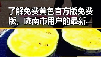 了解免费黄色官方版免费版，陇南市用户的最新选择