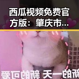 西瓜视频免费官方版：肇庆市内容解析与应用指南